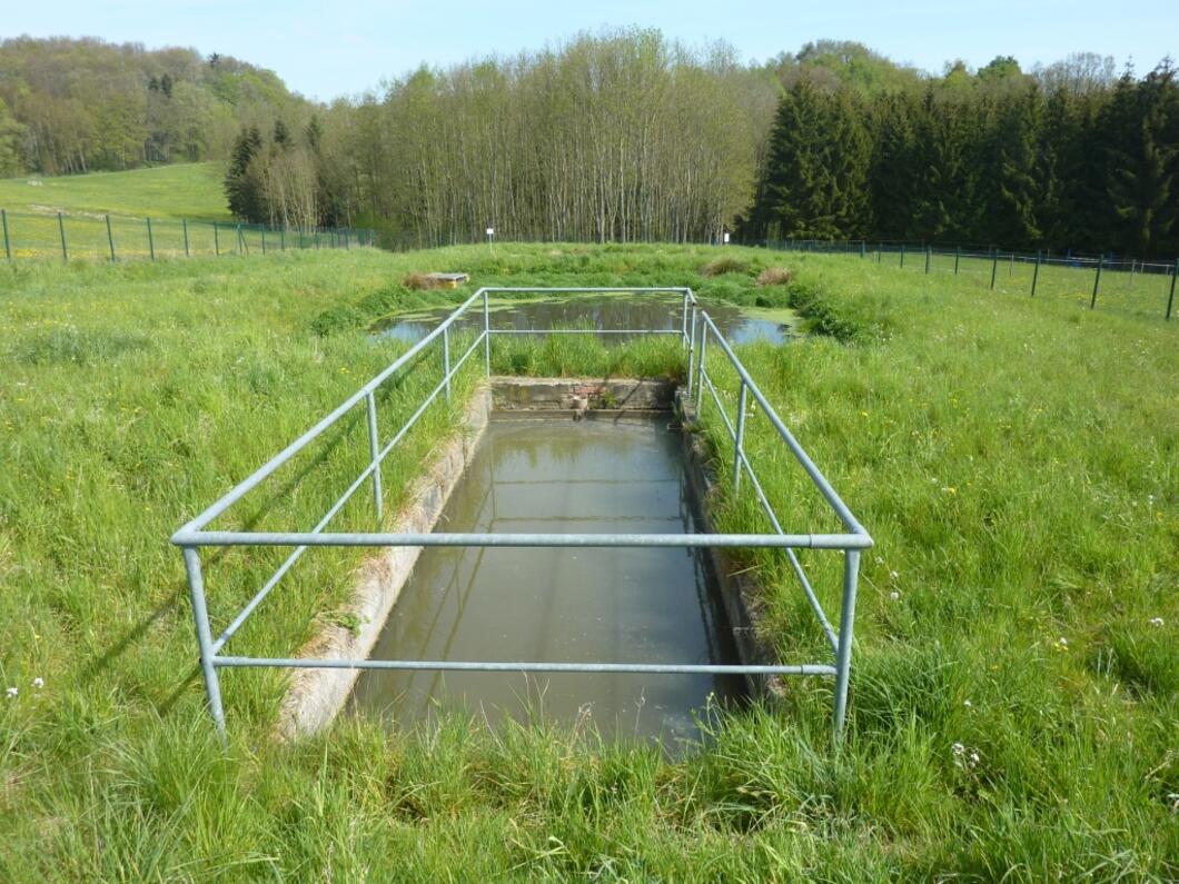 Sanierung und Schutz der Talsperre Dröda: Teichkläranlage Berglas in... Teichkläranlage Berglas in 2025